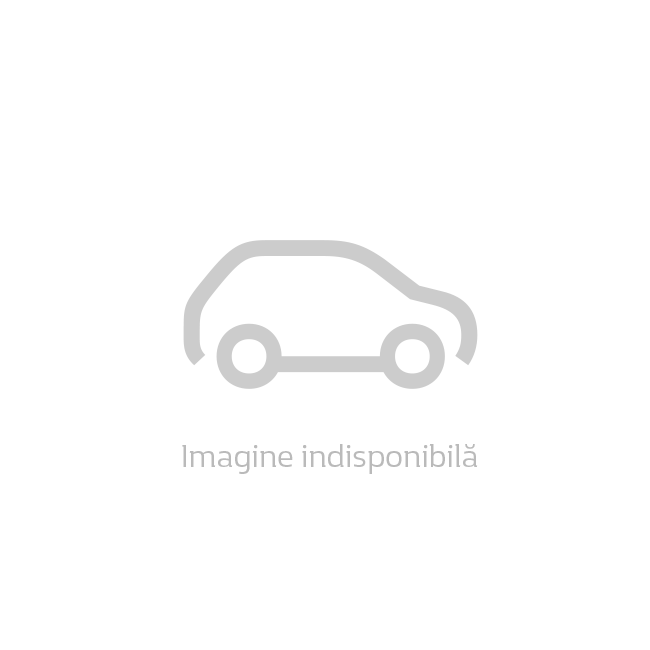 MEGANE Hatch RS Line